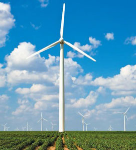 Double-cropping: soybeans and wind power